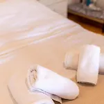 The Courtyard House Dhimini