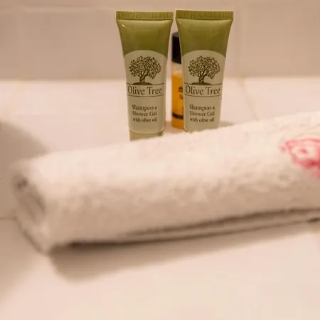 The Courtyard House 公寓