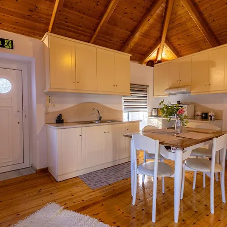 The Courtyard House * Dhimini