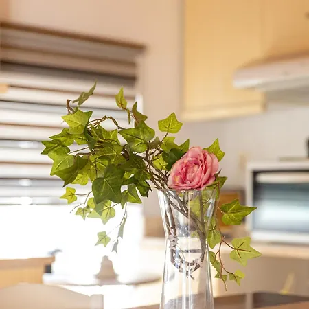 The Courtyard House * Dhimini