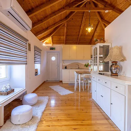 The Courtyard House *