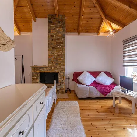 The Courtyard House *