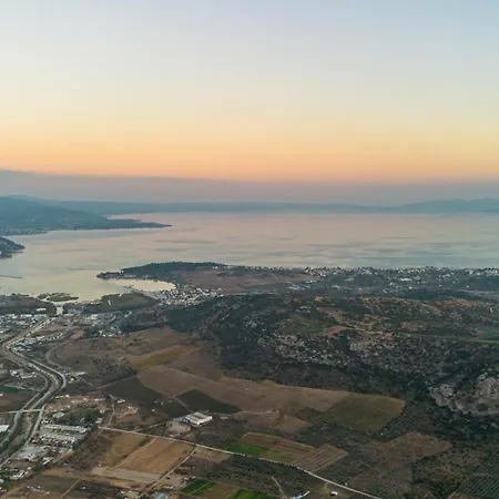 The Courtyard House * Dhimini