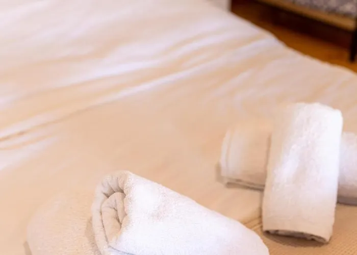 The Courtyard House Dhimini