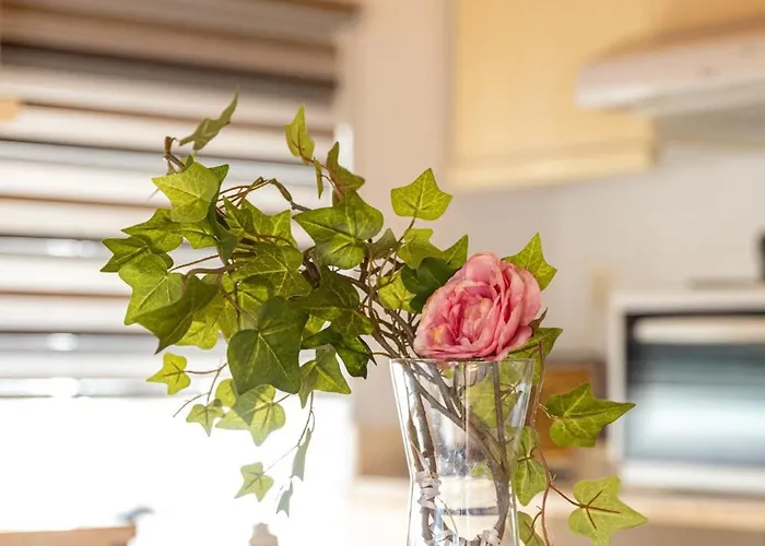 The Courtyard House * Dhimini