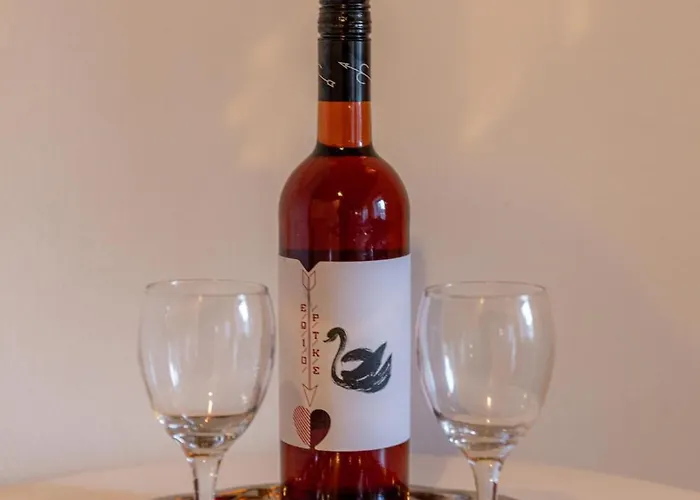 The Courtyard House * Dhimini